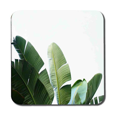 Ellerslie Square 6 Piece Coaster Set