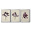 Antique Tulip Study I - Toile tendue avec châssis sur mesure - 3 pièces-1997262811