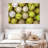 Sireci Softball Collection-107489548