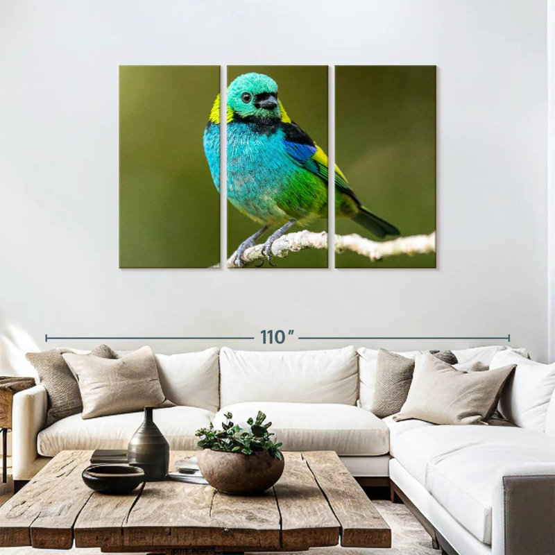 Brampt Green Headed Tanager, 48" H x 74" W