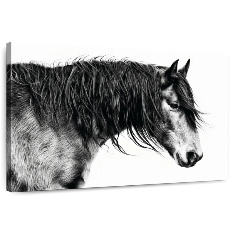 Portrait de cheval Brampt noir et blanc III, H 8 po x l 12 po