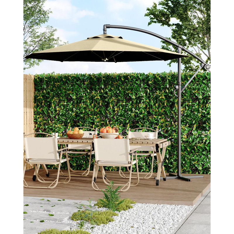Parasol