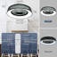 Machutte 18.5'' Ceiling Fan with LED Lights-483886798