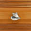 2" Conch Shell Knob-39948744