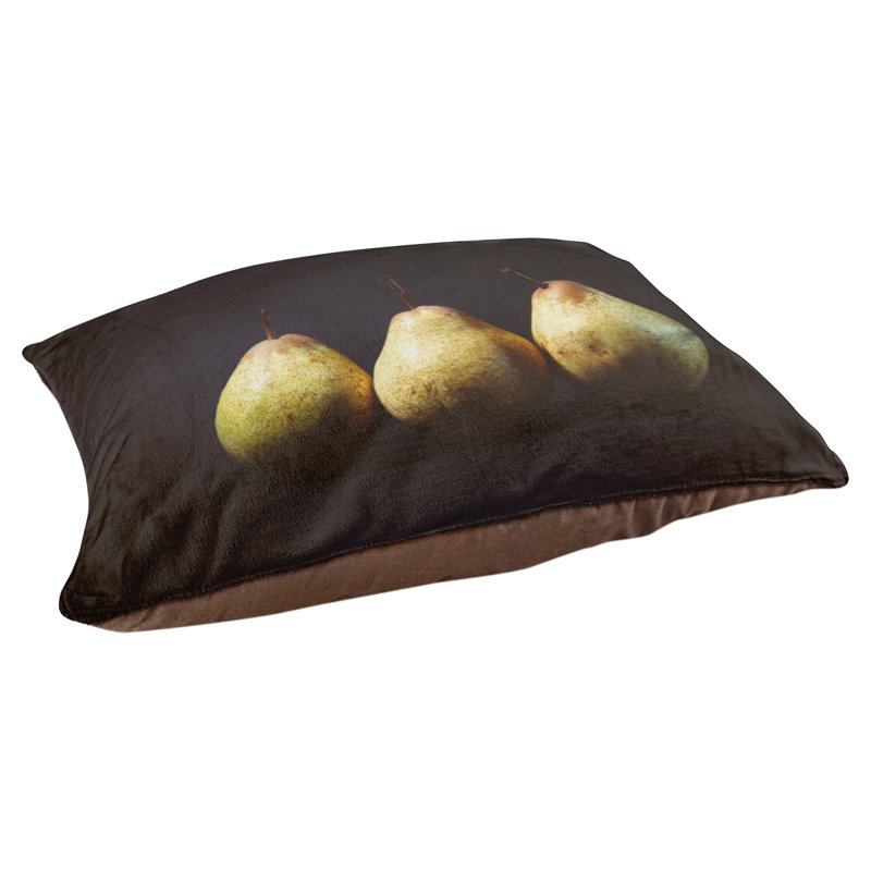 Coussin pour chien poiriers Burriss, Grand (H 14 po x l 42,5 po x P 32,5 po)