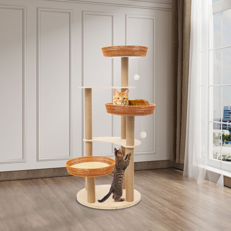 Grattoir pour chat et nid