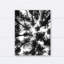 «Black and White Tree Lookup», reproduction de photo sur toile