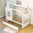 Bibeau Twin Size House Daybed with Trundle-321652431