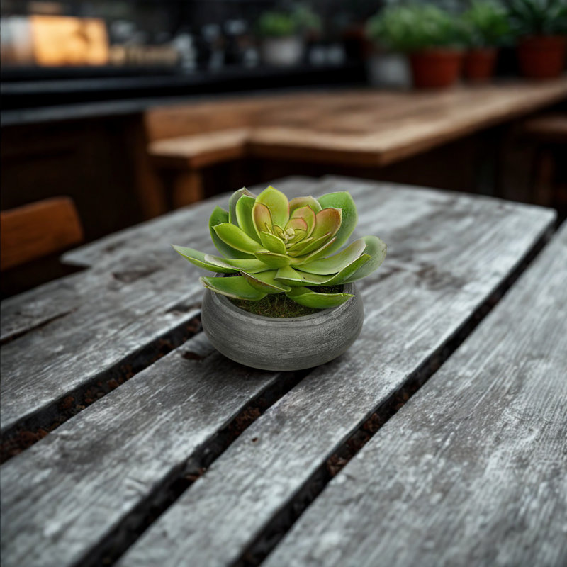 Jardinière avec succulent Echeveria artificielle, Blanc, Vert