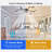 6-Speed 24.8''Dimmable LED Reversible Flush Mount Ceiling Fan With Remote And App
