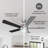 Sadie 52'' Ceiling Fan with Light Kit