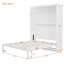 Grand lit escamotable mural avec tablettes, blanc-707064043-707064040