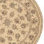 Hand Knotted Area Rug in Ivory