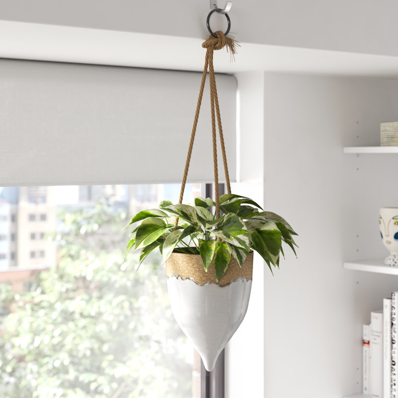 Pot à fleurs suspendu en terre cuite Morrill, H 8,66 po x l 6,69 po x p 6,69 po