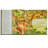 The Jungle Book Leather Bound Children's Book