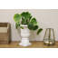 Lily Urn Planter