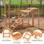 Chicken Activity Play Swing Set With Chicken Perches Hen Ladder