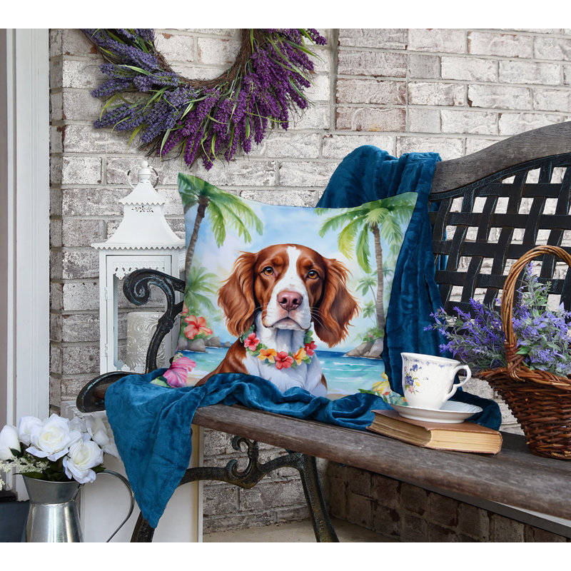 Other/No Pattern Outdoor Throw Pillow, 18" H x 18" W