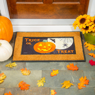 Devid Sassafras Switch 22" x 10" Non-Slip Outdoor Door Mat