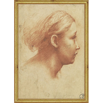 Parmagiano Drawing - Painting on Wood