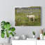 Hear My Voice John 10:27-28 - Wrapped Canvas Print-1110947739