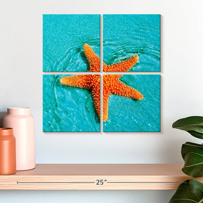 Brampt Submerged Starfish, 18" H x 18" W