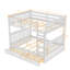 Lit Felske par Harriet Bee-472643874-535089850
