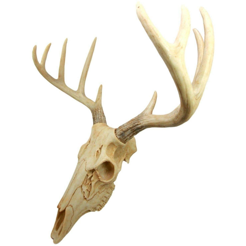 Décoration murale Buck