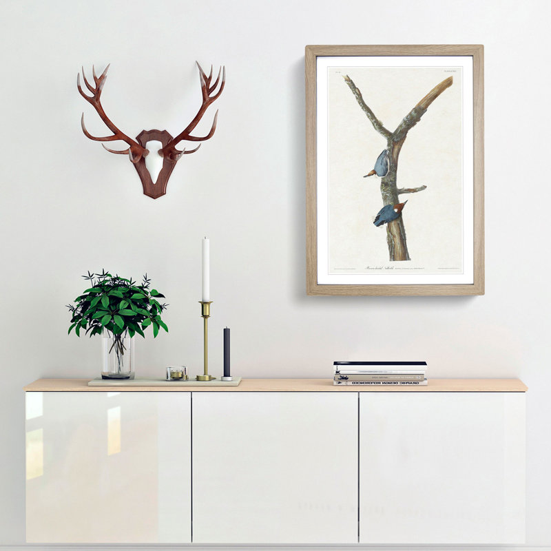 Brown Headed Nuthatch Birds by John Audubon - Picture Frame Painting Print, 65cm H x 48cm W x 2cm D, Oak Framed