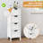 Gassett Bathroom Cabinet