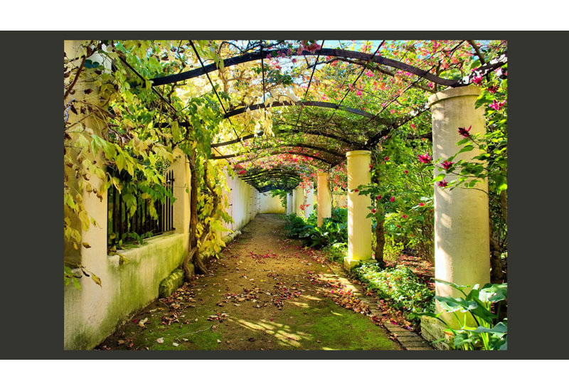 Pergola 2.1m x 300cm Wallpaper, 350 cm x 245 cm