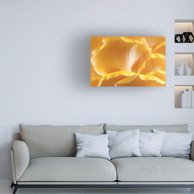 Art sur toile Marcus Jules, H 22 po x l 32 po