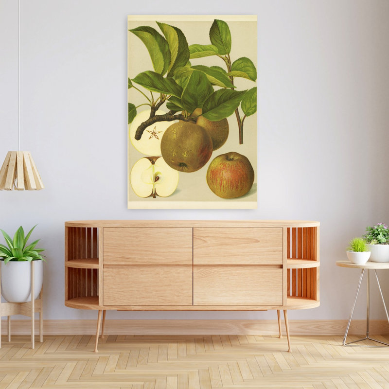 «Russet Apples I», art de paysage naturel rustique biologique rétro, H 48 po x l 32 po
