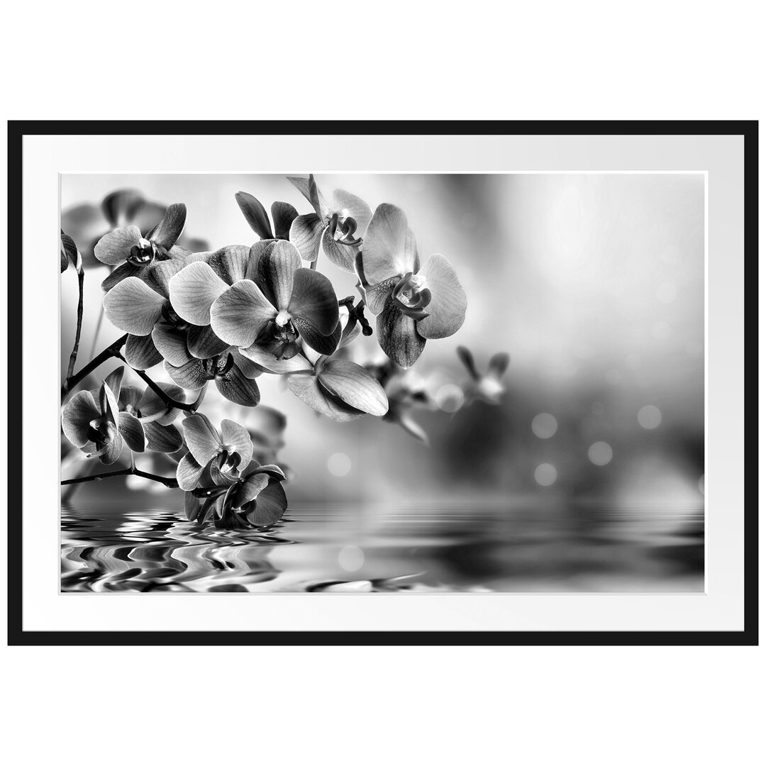 Gerahmtes Poster Beautiful Orchid Blossom