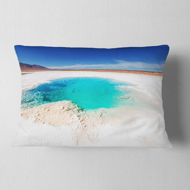 Coussin lombaire Schafer