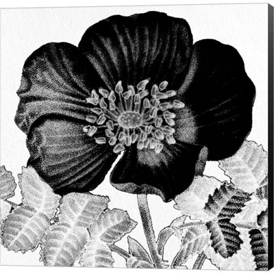 Décoration murale Bloom