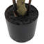 Potted Bamboo Tree 4ft