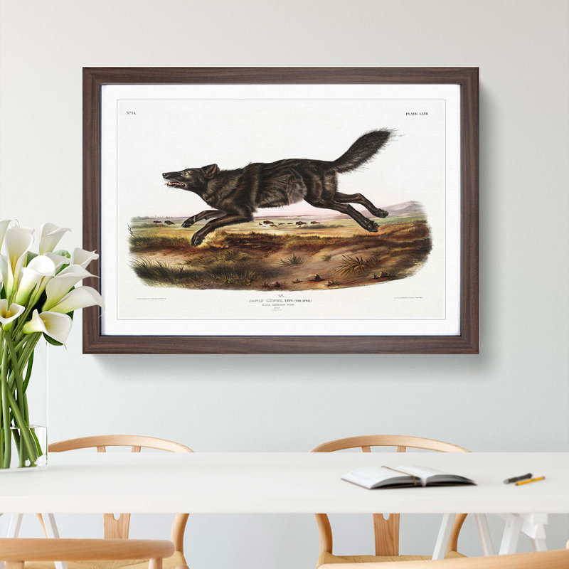 Black American Wolf by J.W. Audubon - Picture Frame Painting Print, Walnut Framed, 62cm H x 87cm W x 2cm D