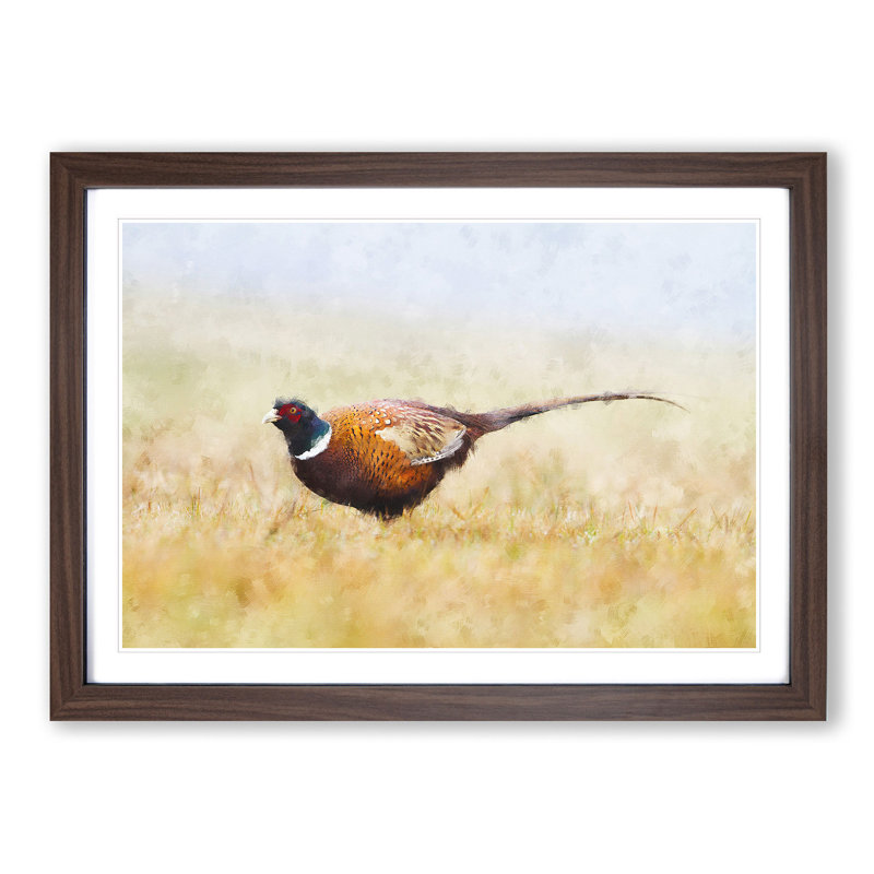 A Pheasant Bird - 1 Piece Picture Frame Rectangle Painting, Walnut, 45cm H x 63cm W x 2cm D