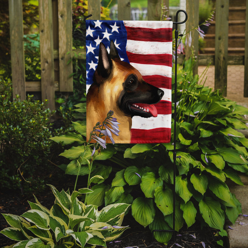 Double Sided 15'' H x 11'' W Polyester Independence Day Garden Flag, Belgian Malinois