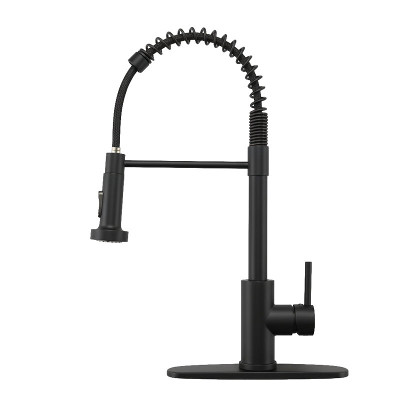 Industrial Single-Handle Spring Spout Kitchen Faucet with Pull-Down Sprayer (Set of 2), Matte Black