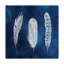 Reproduction sur toile, "Cyanorph Feathers I" par Grace Popp-535893819