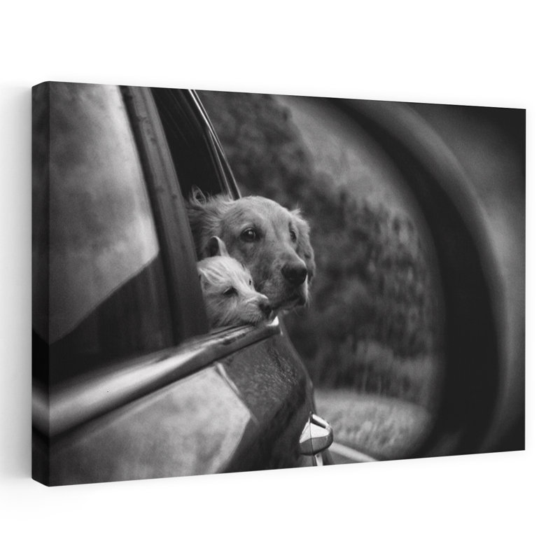 Car Window Companions Contemporary Dog Wall Art Print, 30.48cm H x 45.72cm W