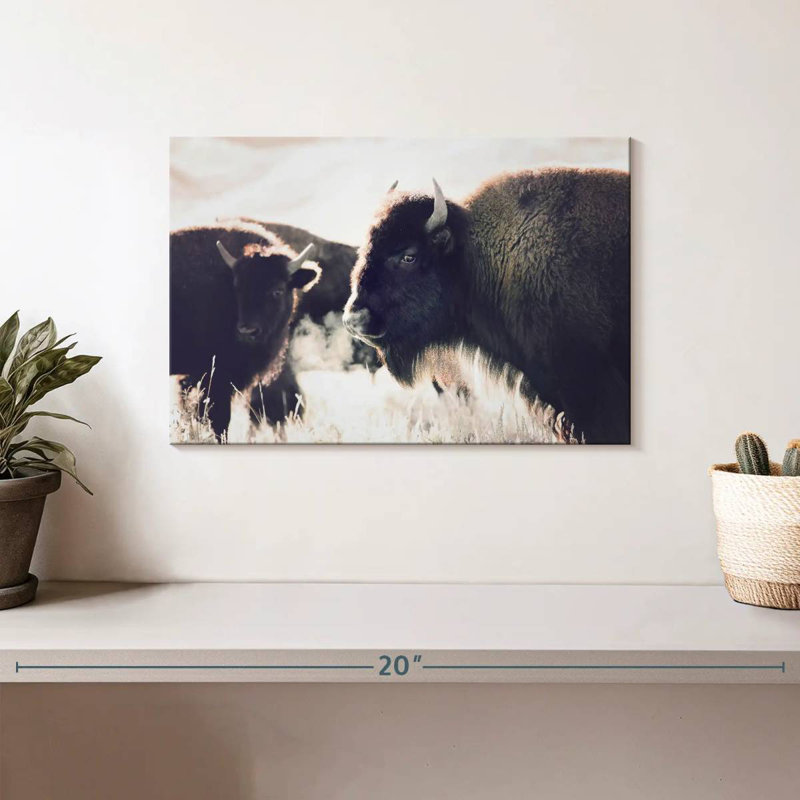 Brampt Buffalo Pasture, H 8 po x l 12 po