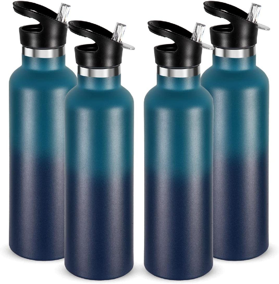 https://assets.wfcdn.com/im/43812150/compr-r85/2156/215632269/orchids-aquae-24oz-insulated-stainless-steel-water-bottle.jpg