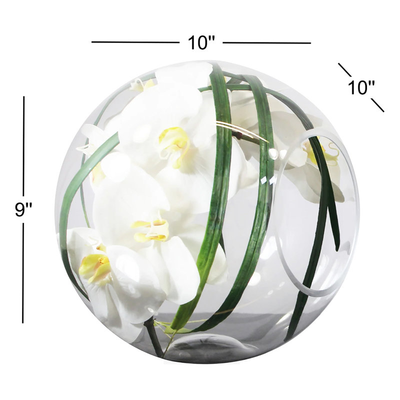Crosswinds Phaleanopsis Orchids Floral Arrangement in Vase