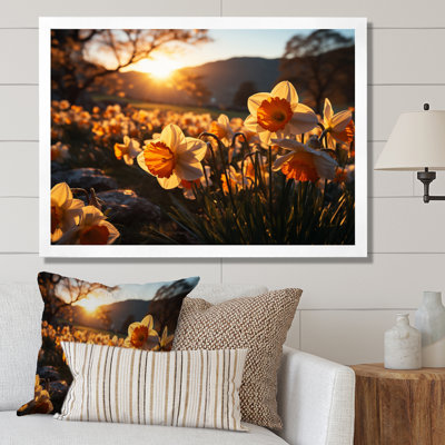 Daffodils Field Sunrise III - Floral Wall Art Prints