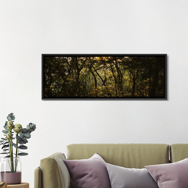Coucher de soleil sur une forêt, monteverde cloud forest, costa rica-reproduction de photo sur toile tendue