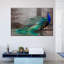 Élégant paon bleu sur toile-2034608565