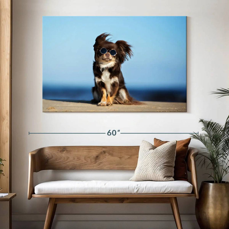 Chihuahua Brampt
